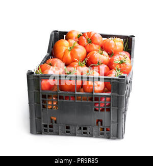 Frische reife große Tomaten in Kunststoffkisten isoliert auf weißem Stockfoto