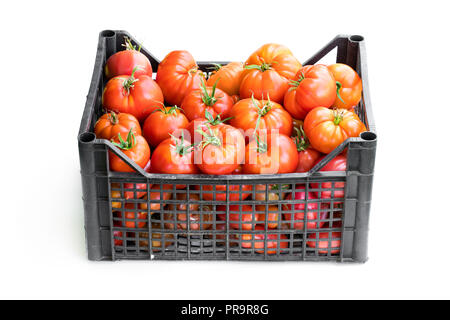 Frische reife große Tomaten in Kunststoffkisten isoliert auf weißem Stockfoto