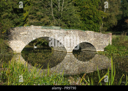 Schwan Schwimmen auf dem See unter der historischen gewölbten Steinbrücke bei Waverley Abbey House, Surrey, Großbritannien Stockfoto