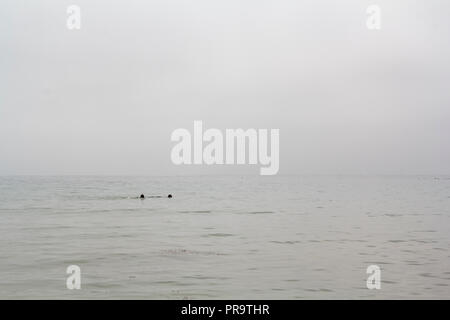 Schwimmer im Meer auf der nebligen Tag Stockfoto