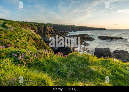 Die Bucht Küste, Aberdeen, Aberdeenshire. Stockfoto