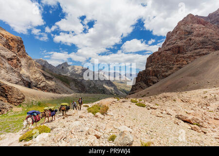 Zentralasien, Tadschikistan, Fan Gebirge, Esel auf Wanderweg Stockfoto