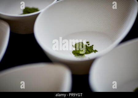 Takeda der Gründer des Tages 2018 Lillibrooke Manor Stockfoto