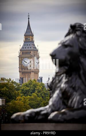 Sehenswürdigkeit Trafalgar Square Lions City von Westminster, Big Ben Uhrturm in London umrahmt die Hauptstadt von England Stockfoto