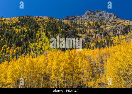 Espen auf Hayden Berg auf Crystal Lake in den Uncompahgre National Forest im Süden von Ouray, Colorado. Stockfoto