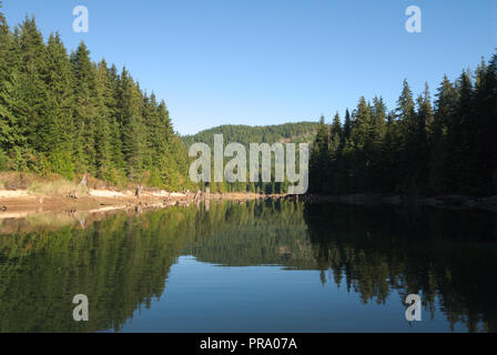 Reflexionen am Stave Lake in Mission, British Columbia, Kanada Stockfoto