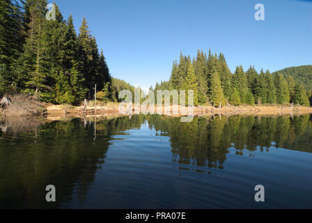 Reflexionen am Stave Lake in Mission, British Columbia, Kanada Stockfoto