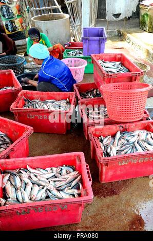 Zwei thailändischen Frauen sitzen auf Plastik, Kartons zu reinigen Fisch im Fischerdorf Pattani Thailand Stockfoto