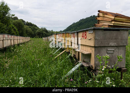 Gruppe von farbigen Honey Bee Bienenstöcke in einem ländlichen Wiese. Stockfoto