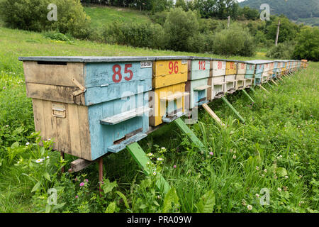 Gruppe von farbigen Honey Bee Bienenstöcke in einem ländlichen Wiese. Stockfoto