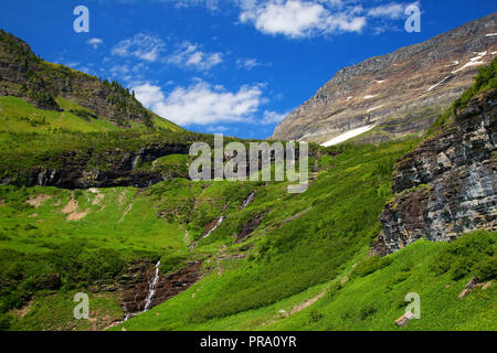 Grünes Gras und Wasserfällen entlang der auf der Sonne Straße im Glacier National Park, Montana, USA Stockfoto