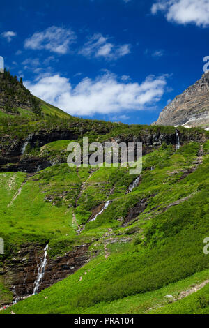 Grünes Gras und Wasserfällen entlang der auf der Sonne Straße im Glacier National Park, Montana, USA Stockfoto