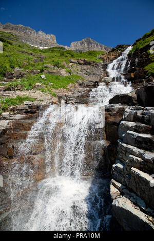 Grünes Gras und Wasserfällen entlang der auf der Sonne Straße im Glacier National Park, Montana, USA Stockfoto