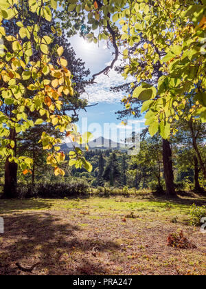 Bray, Irland, 24. September 2018. Powerscourt House im Powerscourt Garden. Panoramablick. Es ist eines der führenden touristischen Attraktionen in Irela Stockfoto