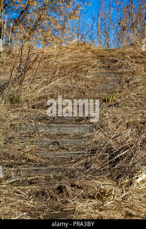 Treppen auf der Wiese. Ungleichmäßige Schritte vom Boden führen auf den Hügel. Stockfoto