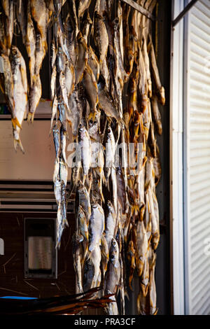 Getrocknete Fische auf dem Markt verkauft. Straße Handel im Süden. Stockfoto