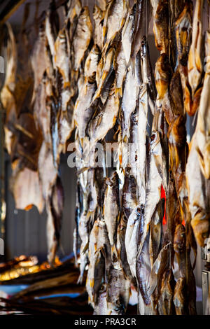 Getrocknete Fische auf dem Markt verkauft. Straße Handel im Süden. Stockfoto