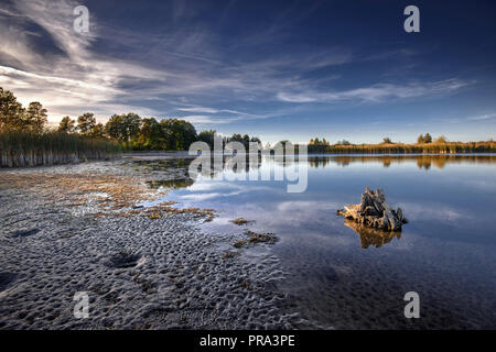 Schöne Landschaft der See bei Sonnenuntergang. Bäume sich im Wasser Stockfoto