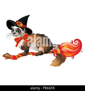 Süße flauschige Frettchen in der schwarzen Hexe hat das Fliegen auf einem Besen auf weißem Hintergrund. Skizze für Poster oder Karte für alle bösen Geister Halloween. Vektor cartoon Close-up Abbildung. Stock Vektor