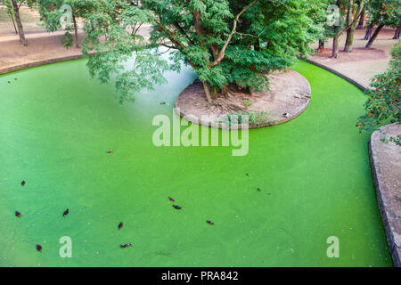 Park der Boverie in Lüttich. Lüttich, Wallonien, Belgien. Stockfoto