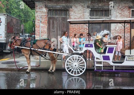 Pferd und Buggy tour Radtouren entlang der Bourbon Street, New Orleans, Louisiana, USA. Stockfoto