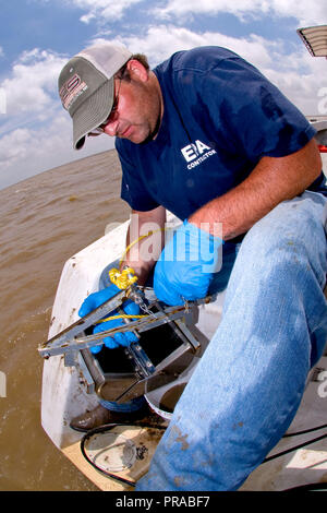 Ein EPA Auftragnehmer unter Sedimentproben im Golf von Mexiko während der Bereinigung der BP Oil Spill im Jahr 2010 Stockfoto