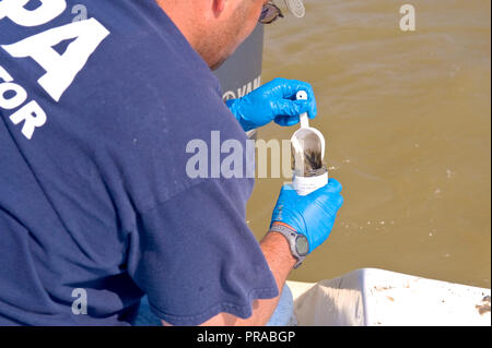 Ein EPA Auftragnehmer unter Sedimentproben im Golf von Mexiko während der Bereinigung der BP Oil Spill im Jahr 2010 Stockfoto