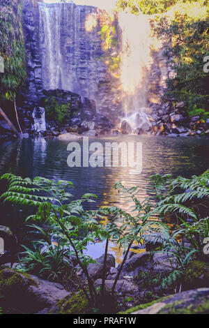 Die verzauberte Märchen landschaft - Wairoa/Te Wairere Wasserfall in Kerikeri, weit North District, Northland, Neuseeland, NZ Stockfoto