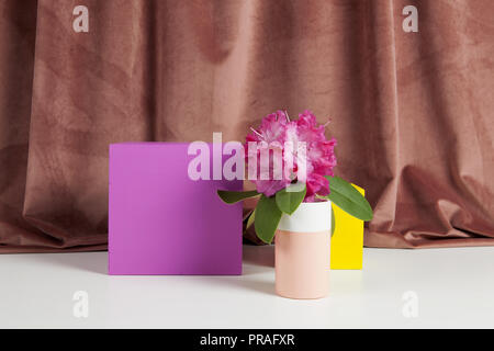 Bicolor Vase mit Blumen rosa Rhododendron innen und Würfel gefärbt. Minimale noch leben Farbe Fotografie Stockfoto