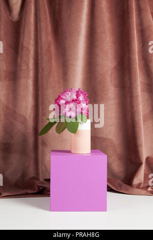 Bicolor Vase mit Blumen rosa Rhododendron im Inneren auf eine rosa farbige Würfel. Minimale noch leben Farbe Fotografie Stockfoto