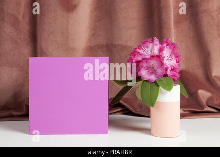 Bicolor Vase mit Blumen rosa Rhododendron im Inneren auf eine rosa farbige Würfel. Minimale noch leben Farbe Fotografie Stockfoto