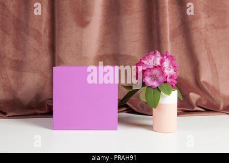 Bicolor Vase mit Blumen rosa Rhododendron im Inneren auf eine rosa farbige Würfel. Minimale noch leben Farbe Fotografie Stockfoto