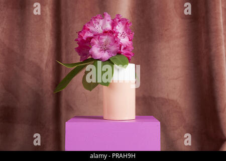 Bicolor Vase mit Blumen rosa Rhododendron im Inneren auf eine rosa farbige Würfel. Minimale noch leben Farbe Fotografie Stockfoto