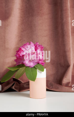 Bicolor Vase mit Blumen rosa Rhododendron vor einem rosa Samtvorhang. Minimale noch leben Farbe Fotografie Stockfoto