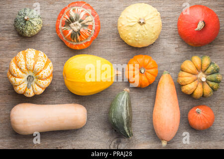 Ansicht von oben Der kürbisse Kürbisse und auf dem dunklen Grau Holz- Hintergrund in einem Raster angeordnet, selektiver Fokus Stockfoto