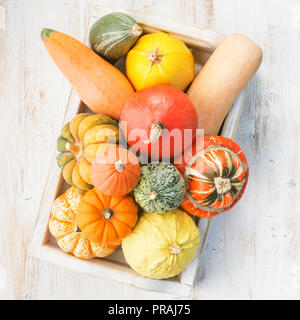 Sortiment von kleinen Kürbisse Kürbisse und in Holz- Fach auf die weiße Holztisch Hintergrund, Vertikal, selektiven Fokus Stockfoto