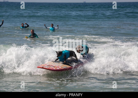 Huntington Beach, Kalifornien, USA. 29. September 2018. September 29, 2018 - Bono (links) und Maya aus Brasilien gewann den zweiten Platz in der Tandem Surfen Kategorie im Surf City Surf Dog Comptetition in Huntington Beach, CA, USA Credit: kayte Deioma/Alamy leben Nachrichten Stockfoto