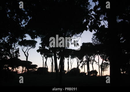 Rom, Italien. 30 Sep, 2018. Die Menschen in der Villa Pamphili Park bei Sonnenuntergang in Rom, Italien: Gari Wyn Williams/Alamy leben Nachrichten Stockfoto