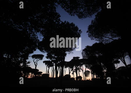 Rom, Italien. 30 Sep, 2018. Die Menschen in der Villa Pamphili Park bei Sonnenuntergang in Rom, Italien: Gari Wyn Williams/Alamy leben Nachrichten Stockfoto