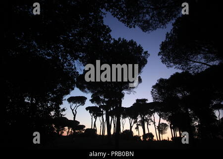 Rom, Italien. 30 Sep, 2018. Die Menschen in der Villa Pamphili Park bei Sonnenuntergang in Rom, Italien: Gari Wyn Williams/Alamy leben Nachrichten Stockfoto