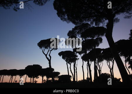 Rom, Italien. 30 Sep, 2018. Die Menschen in der Villa Pamphili Park bei Sonnenuntergang in Rom, Italien: Gari Wyn Williams/Alamy leben Nachrichten Stockfoto