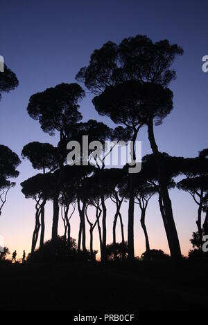 Rom, Italien. 30 Sep, 2018. Die Menschen in der Villa Pamphili Park bei Sonnenuntergang in Rom, Italien: Gari Wyn Williams/Alamy leben Nachrichten Stockfoto
