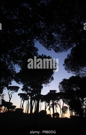 Rom, Italien. 30 Sep, 2018. Die Menschen in der Villa Pamphili Park bei Sonnenuntergang in Rom, Italien: Gari Wyn Williams/Alamy leben Nachrichten Stockfoto