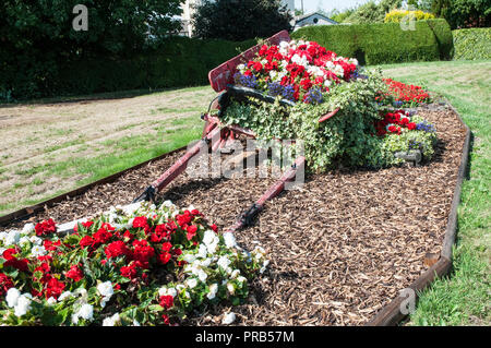 Blume am Straßenrand Anzeige von roten und weißen Begonien mit Efeu in alten farmcart. Befindet sich auf der Straße zu Stalmine Dorf in der Nähe von Blackpool Lancashire England UK. Stockfoto