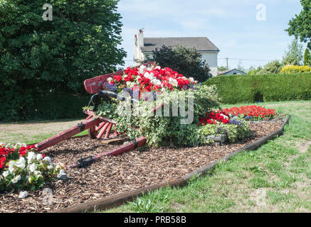 Blume am Straßenrand Anzeige von roten und weißen Begonien mit Efeu in alten farmcart. Befindet sich auf der Straße zu Stalmine Dorf in der Nähe von Blackpool Lancashire England UK. Stockfoto