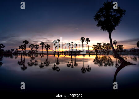 Reihe von Palmen in Silhouette reflektieren auf der Oberfläche Wasser des Flusses bei Sonnenaufgang Stockfoto