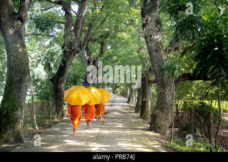 Mönche mit betteln Schalen unter Safranroben gehen Sie am Morgen in West Vietnam Stockfoto