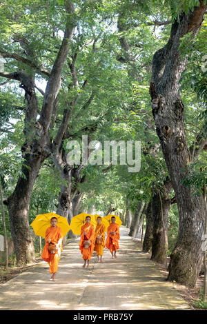 Mönche mit betteln Schalen unter Safranroben gehen Sie am Morgen in West Vietnam Stockfoto