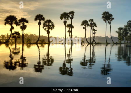 Reihe von Palmen in Silhouette reflektieren auf der Oberfläche Wasser des Flusses bei Sonnenaufgang Stockfoto