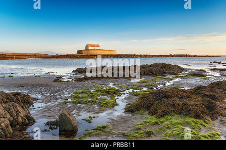 Ebbe in Cwyfan Kirche auf der Insel Anglesey im Norden von Wales Stockfoto